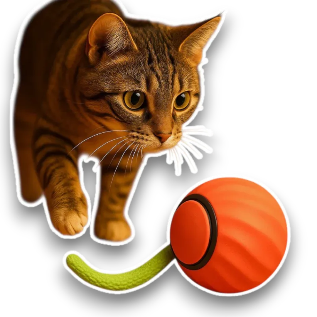 Brinquedo Interativo para Gatos – PawBall™