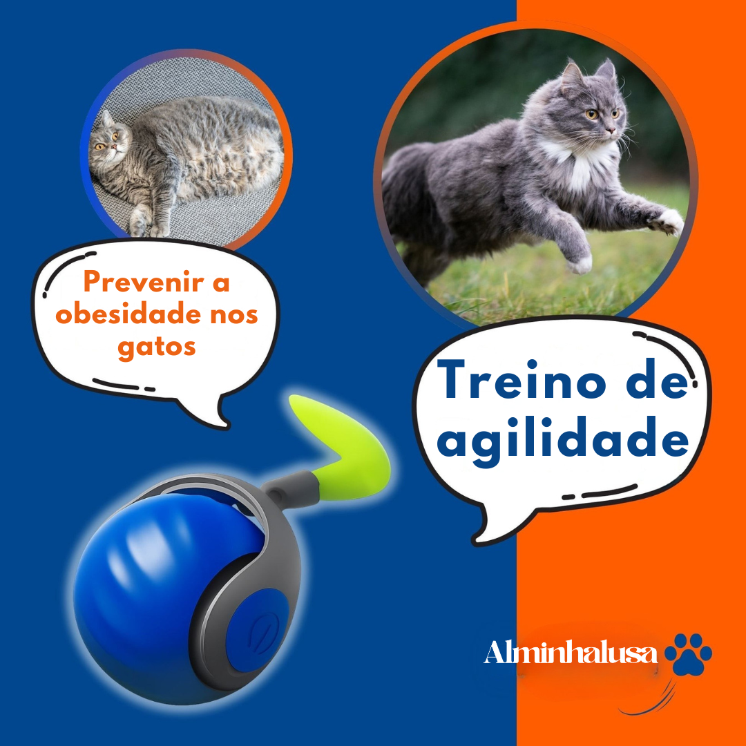 Brinquedo Interativo para Gatos – PawBall™